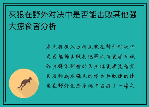 灰狼在野外对决中是否能击败其他强大掠食者分析